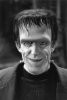 Fred Gwynne