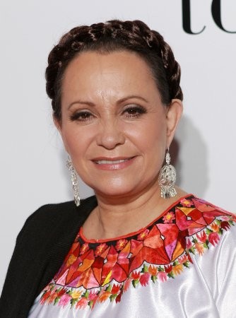 Adriana Barraza imagen 1