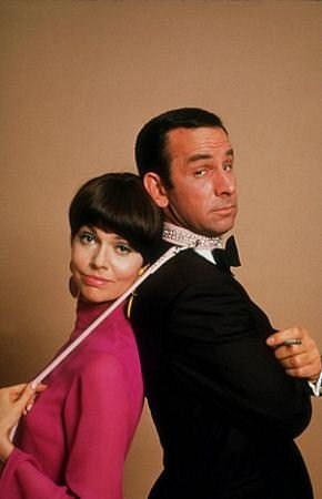 Barbara Feldon imagen 3