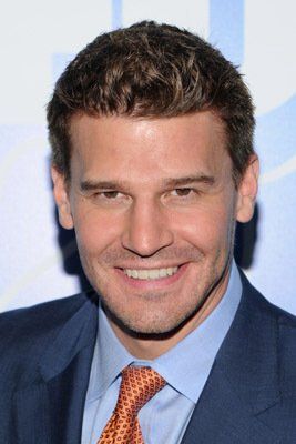 David Boreanaz imagen 1