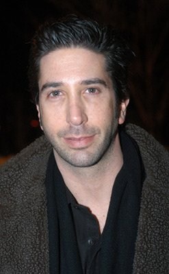 David Schwimmer imagen 3