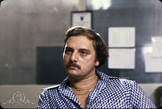 Dennis Franz imagen 2