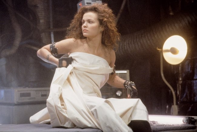 Dina Meyer imagen 2