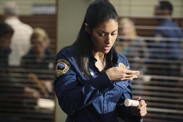 Janina Gavankar imagen 2