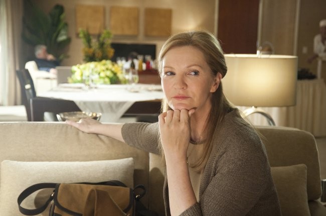 Joan Allen imagen 1