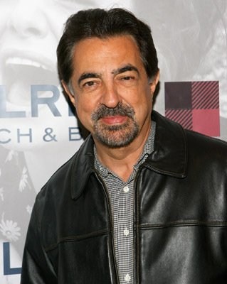 Joe Mantegna imagen 1