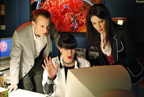 Pauley Perrette imagen 2