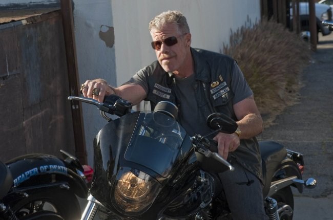 Ron Perlman imagen 3