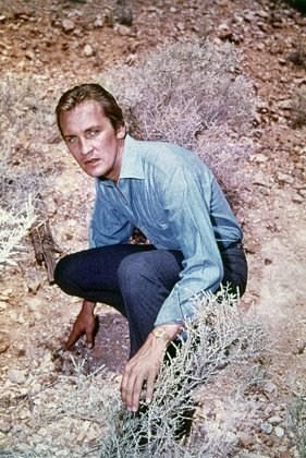 Roy Thinnes imagen 2