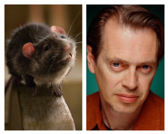 Steve Buscemi imagen 2