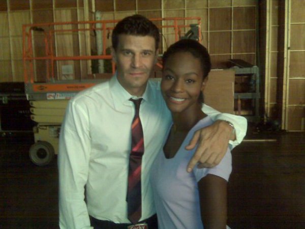 Sufe Bradshaw imagen 4