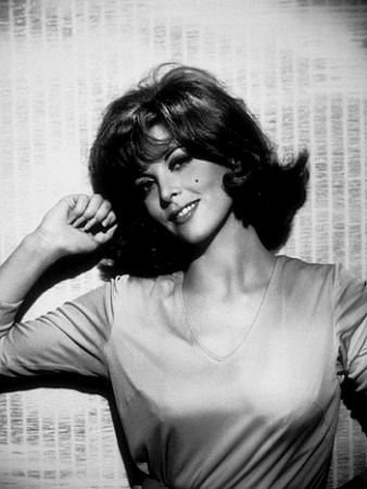 Tina Louise imagen 2