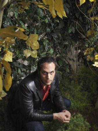 Todd Stashwick imagen 4