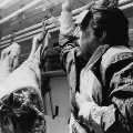 Bruce McGill imagen 2