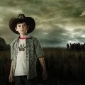 Chandler Riggs imagen 1