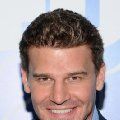 David Boreanaz imagen 1