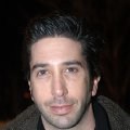 David Schwimmer imagen 3