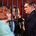 Dick York imagen 4