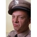 Don Knotts imagen 2