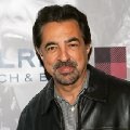 Joe Mantegna imagen 1