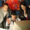 Pauley Perrette imagen 2