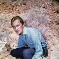 Roy Thinnes imagen 2