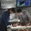 Ryan Cartwright imagen 3