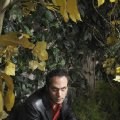 Todd Stashwick imagen 4