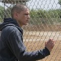 Wentworth Miller imagen 4