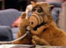 Imagen de la serie ALF