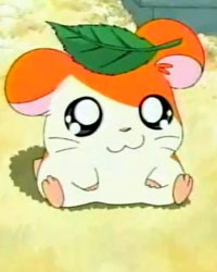 HAMTARO