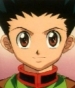 Gon